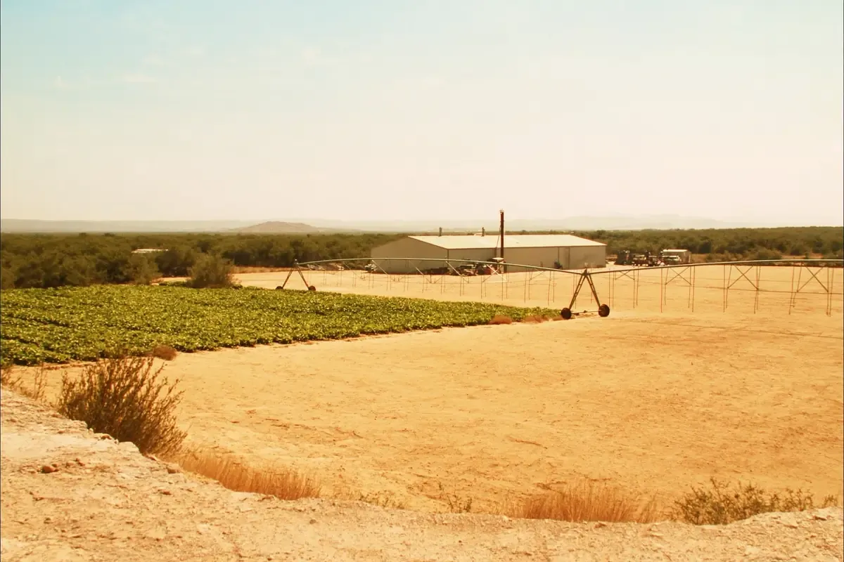 Center pivot irrigation and metal buildings on farmland in Frio County, Texas