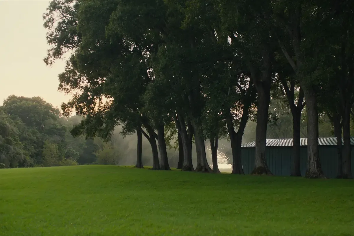 Metal building among pecan trees on green bottomland in Guadalupe County, Texas